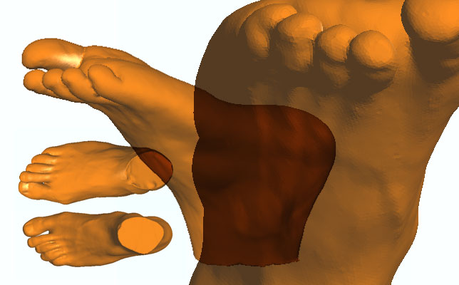 Dan Beyer - STL files of scanned plaster Feet casts